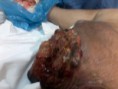 /album/galeria-de-fotos/valdir-16-copia-jpg/